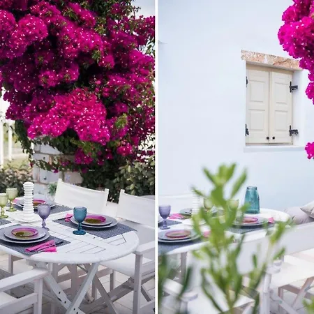 Nausithoe 1 Paros * Logaras