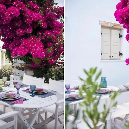 Nausithoe 1 Paros *