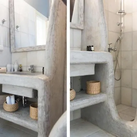 Nausithoe 1 Paros