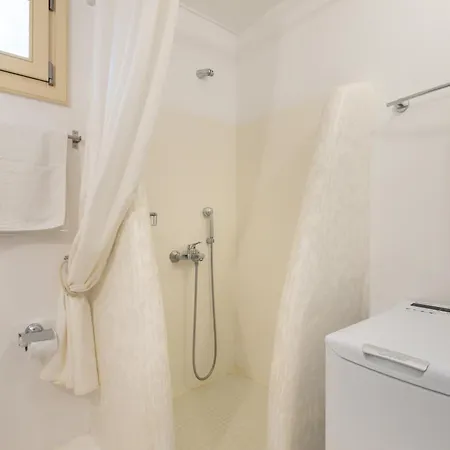 Nausithoe 1 Paros