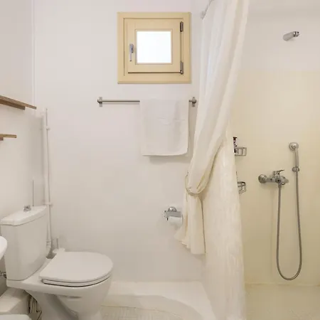 Nausithoe 1 Paros *
